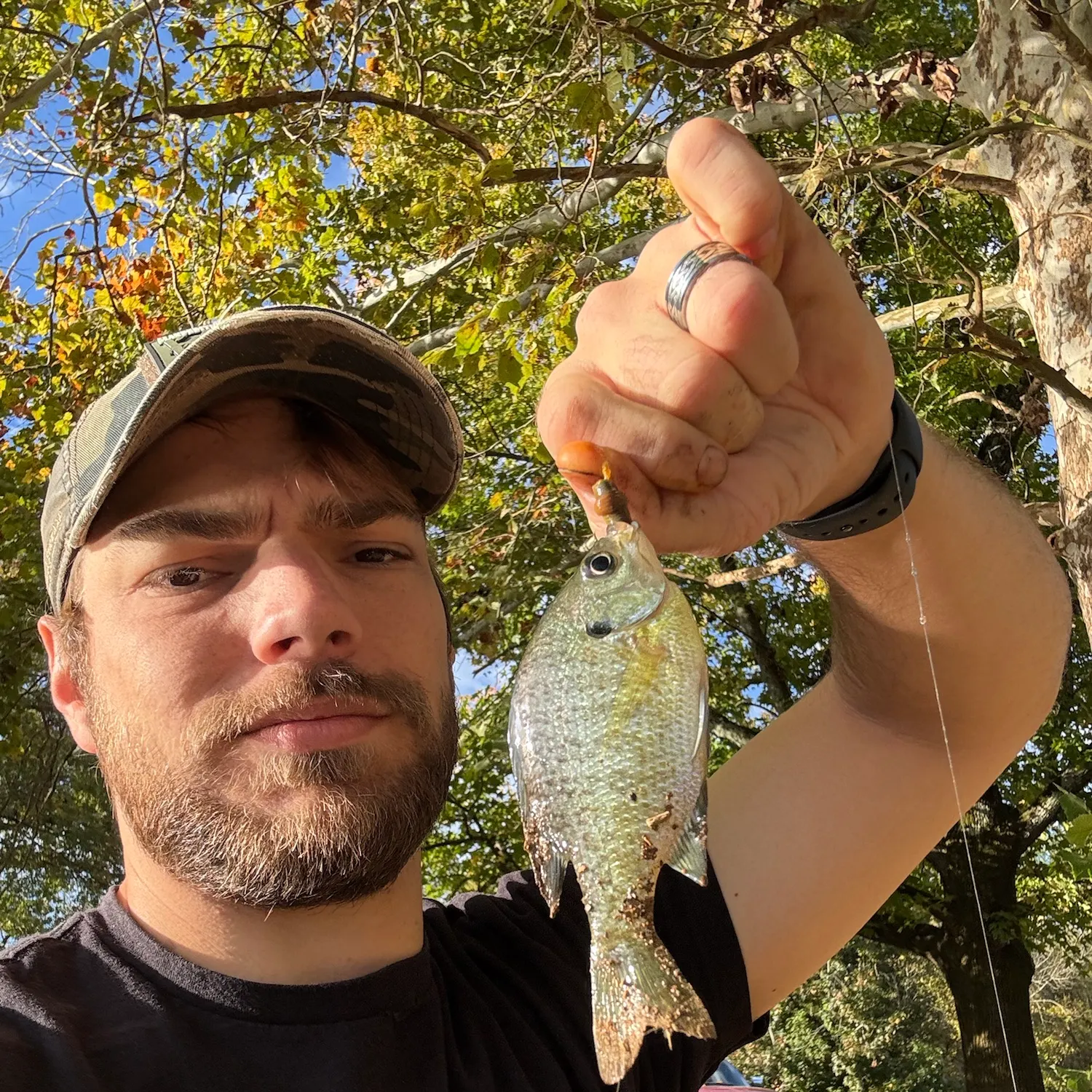 Bluegill caught on Fishbrain
