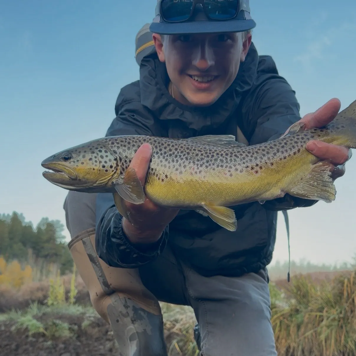 Brown trout caught on Fishbrain