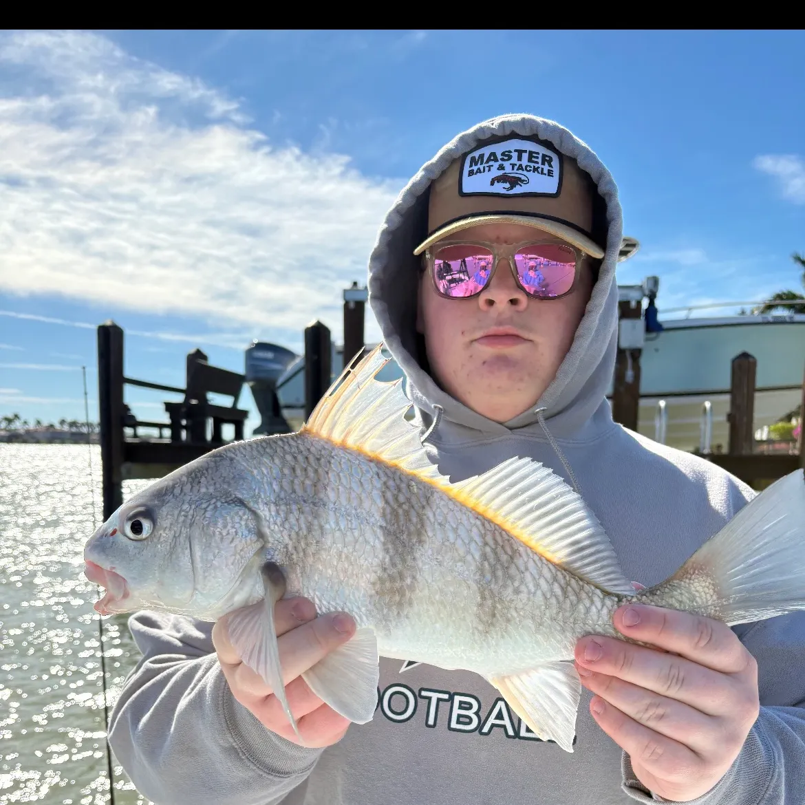 The most recent Black drum catches on Fishbrain