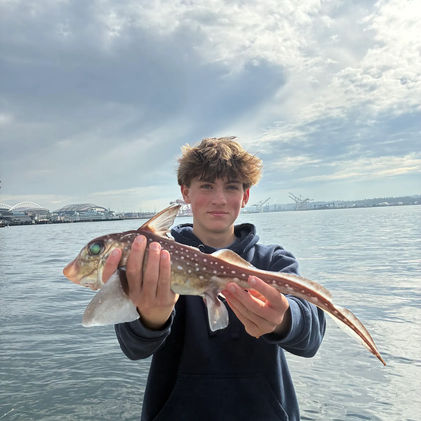 The most recent Spotted ratfish catches on Fishbrain
