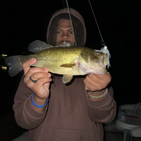 Largemouth bass caught on Fishbrain