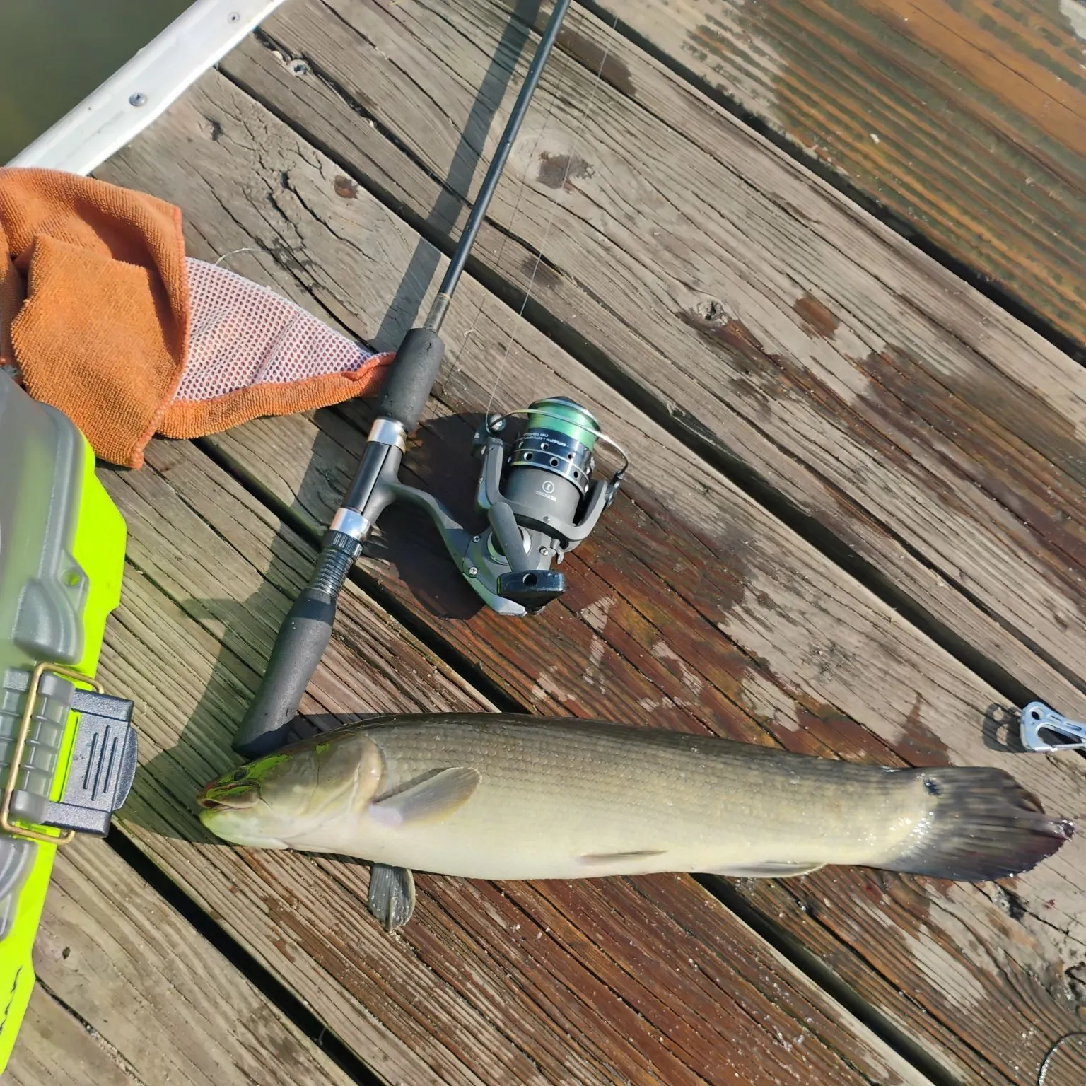 catch