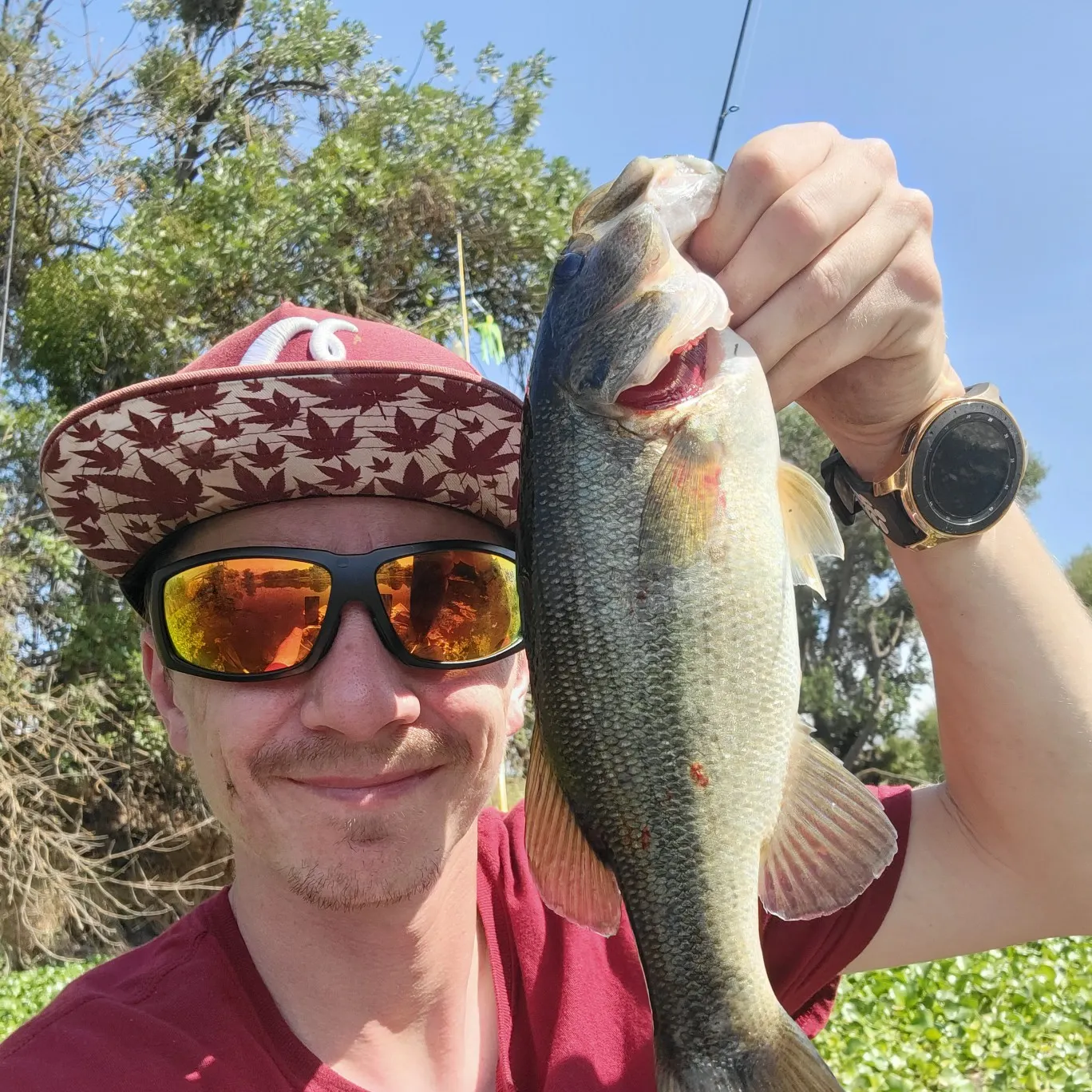 Largemouth bass caught on Fishbrain