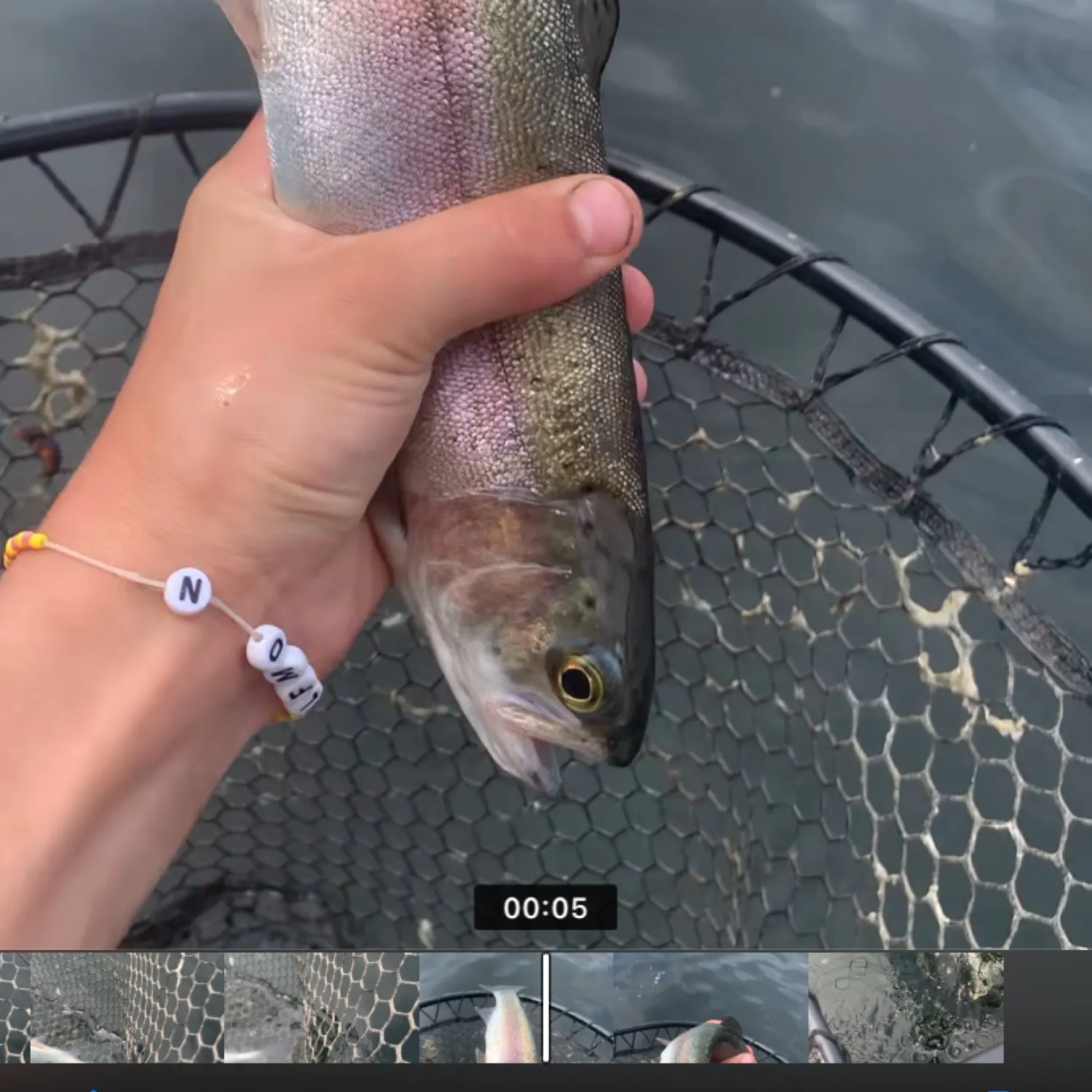 recently logged catches