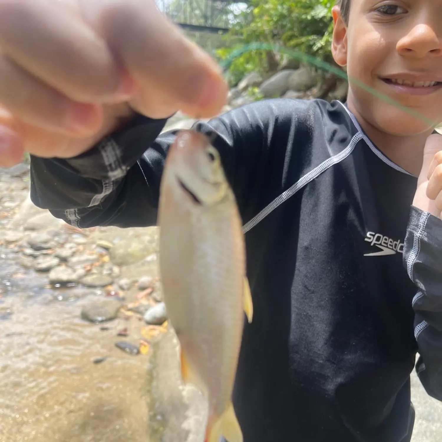 The most recent Sabaleta catches on Fishbrain