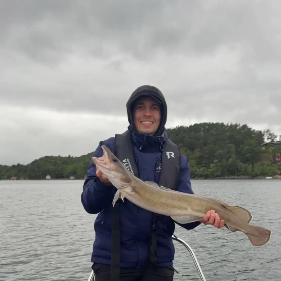 The most recent Common ling catches on Fishbrain
