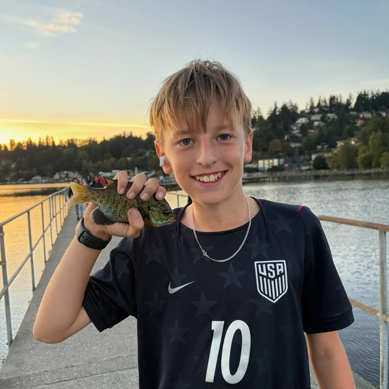 Bluegill caught on Fishbrain
