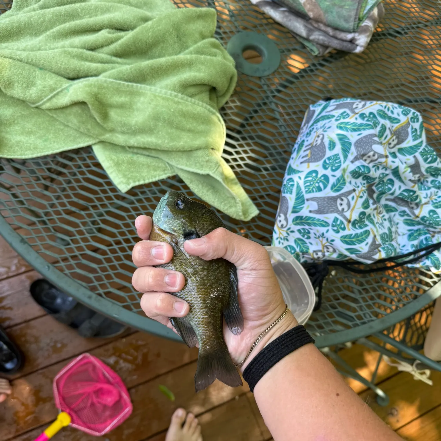 catch
