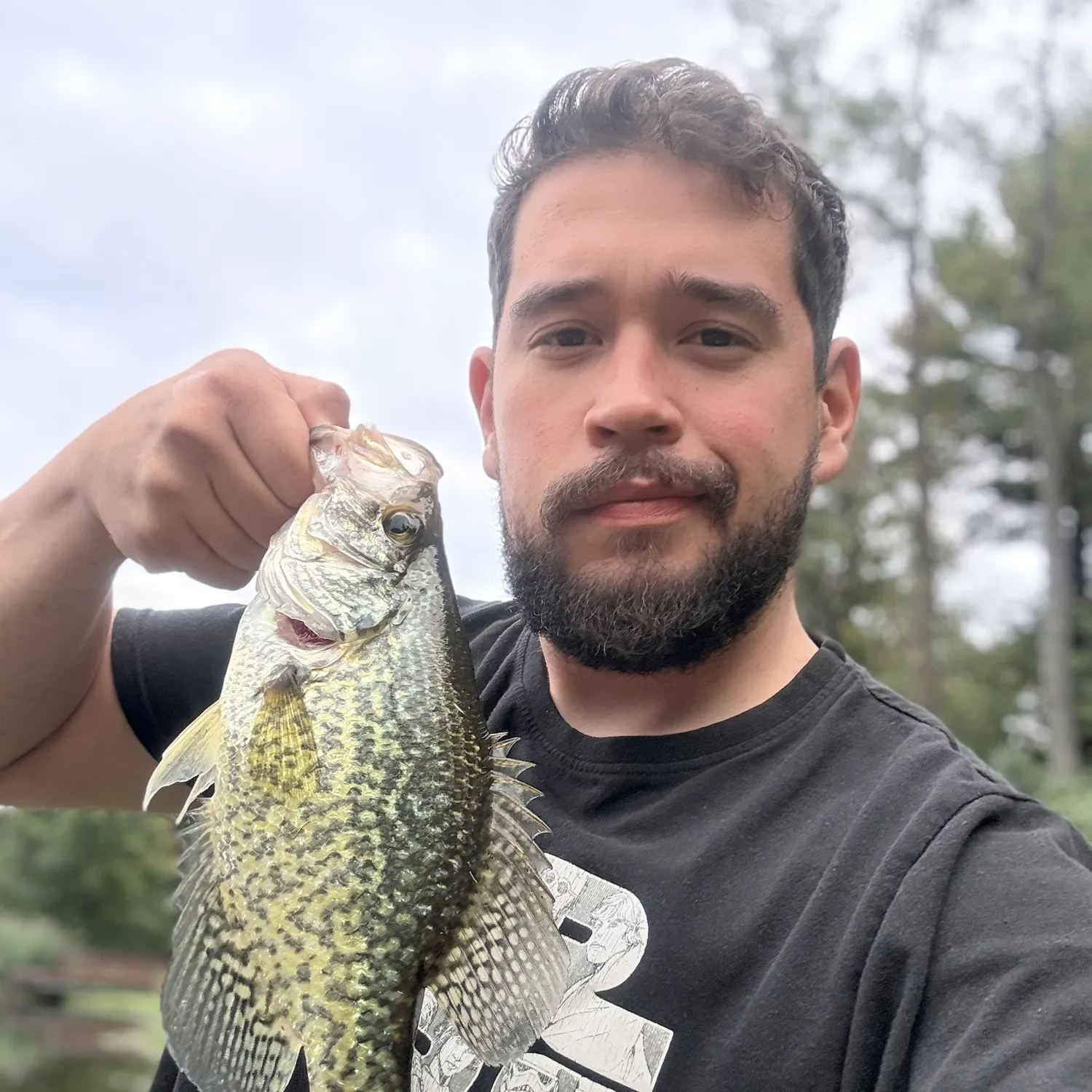 Black crappie caught on Fishbrain