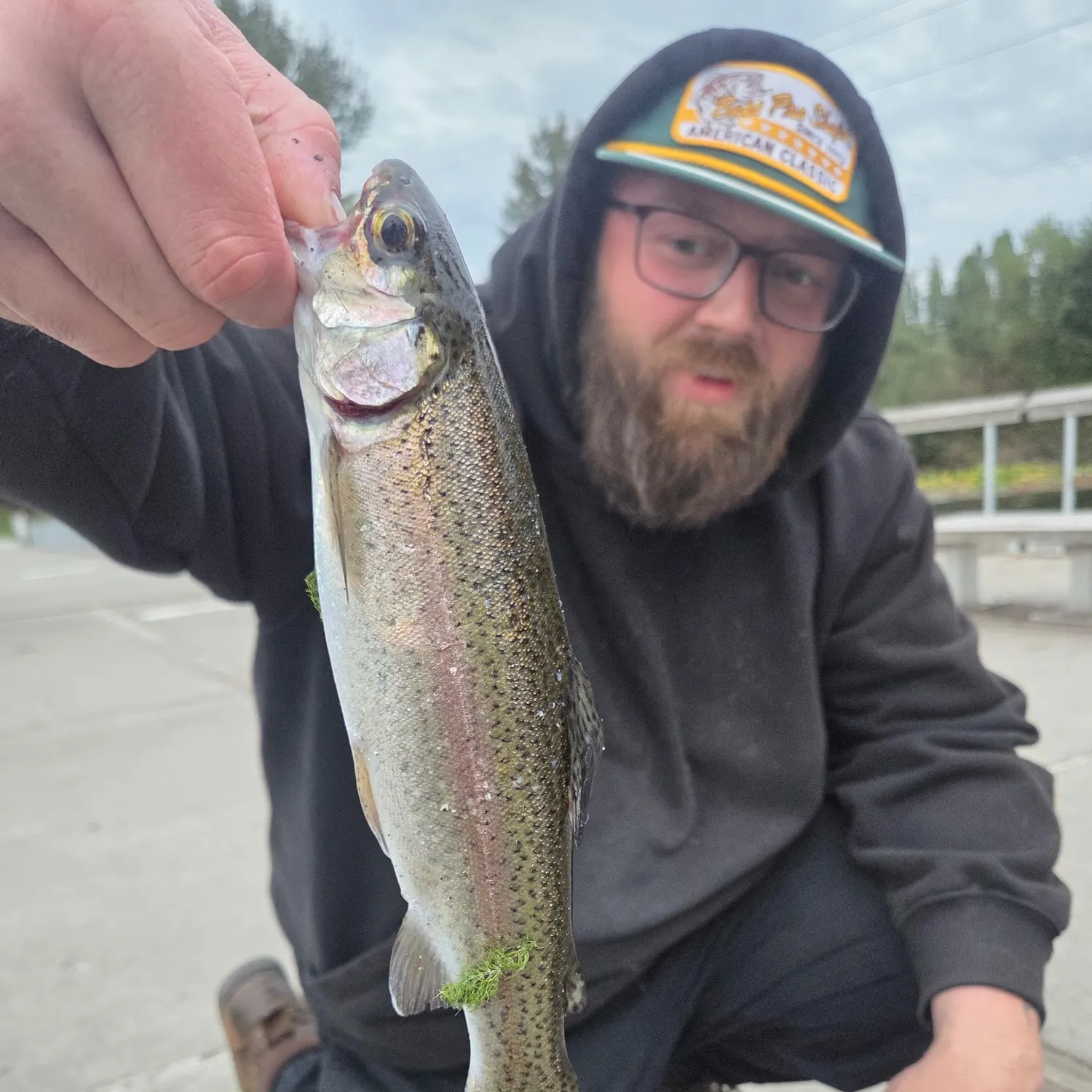 Rainbow trout caught on Fishbrain
