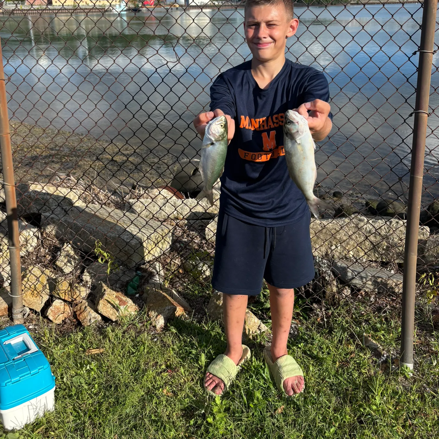 Bluefish caught on Fishbrain