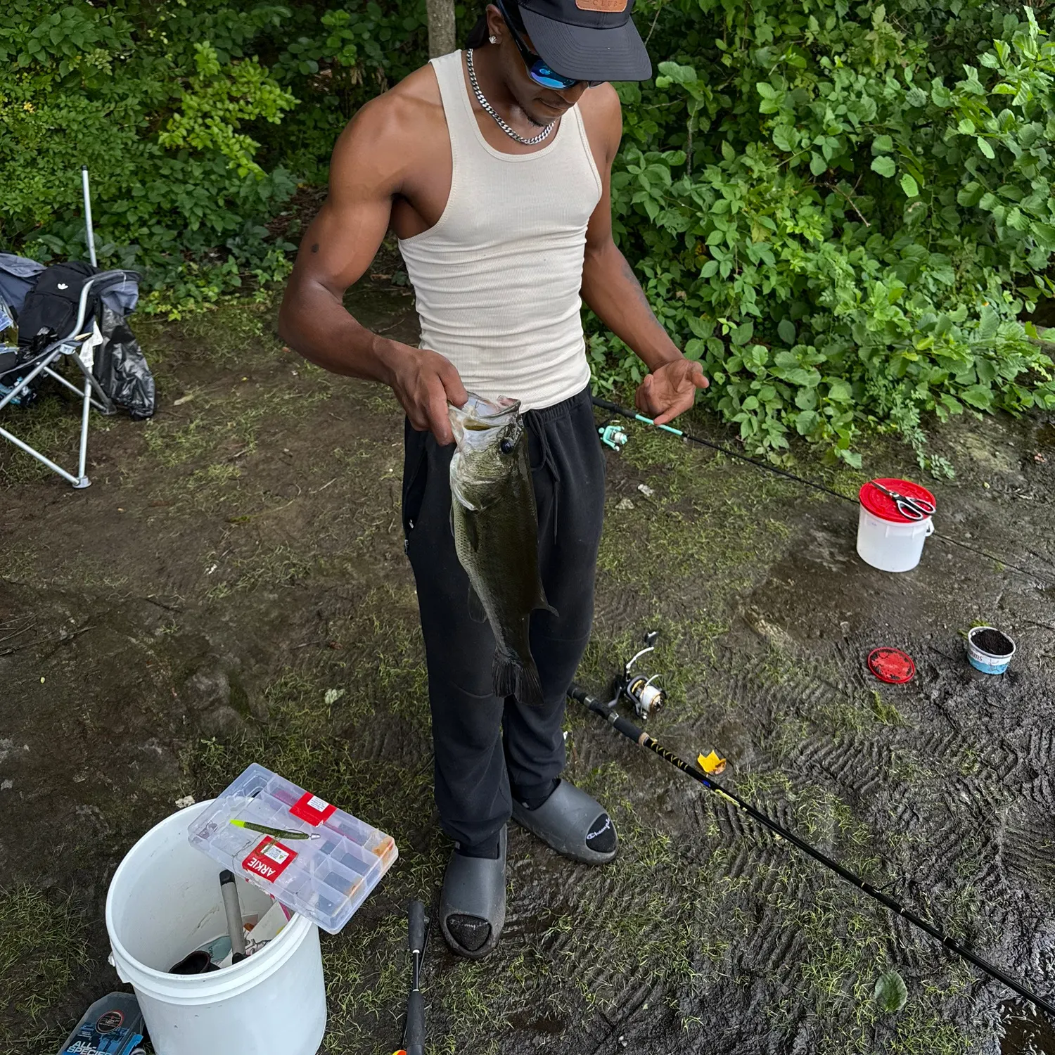 Largemouth bass caught on Fishbrain