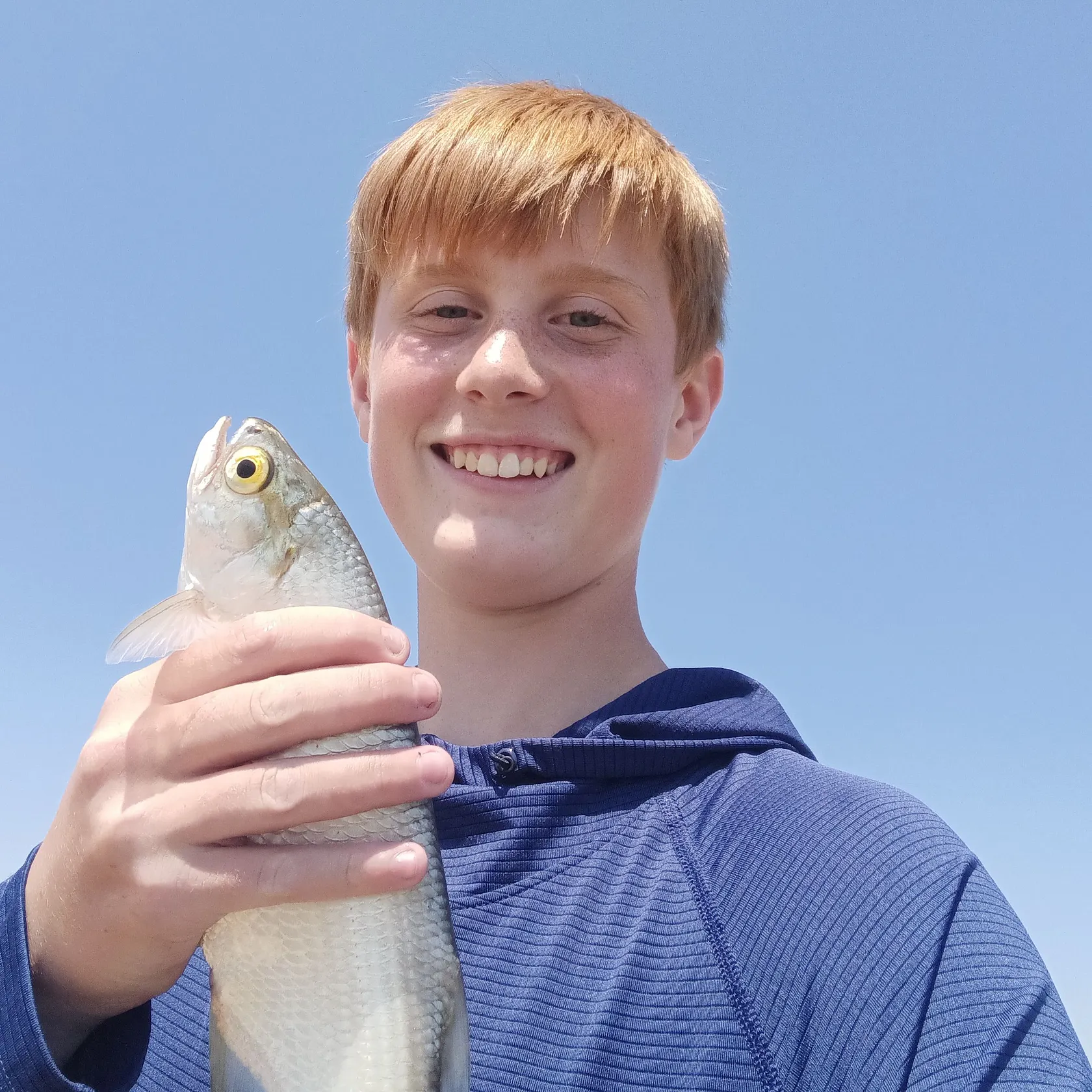 The most recent Goldeye catches on Fishbrain