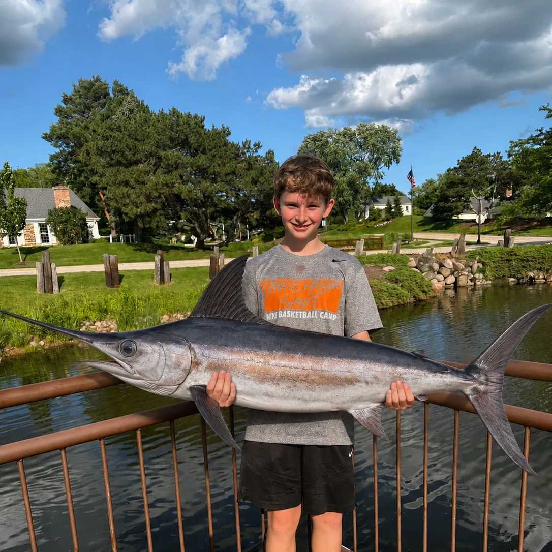 The most recent Swordfish catches on Fishbrain