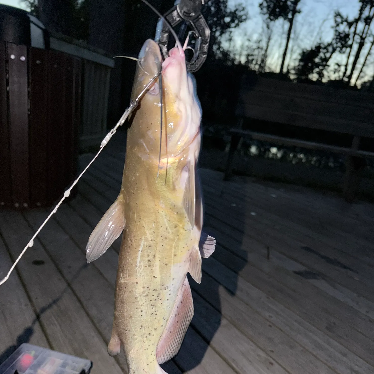 catch