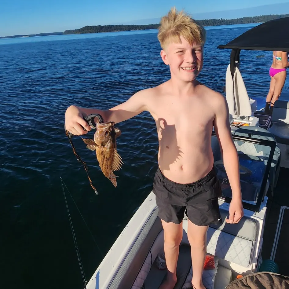 The most recent Black rockfish catches on Fishbrain