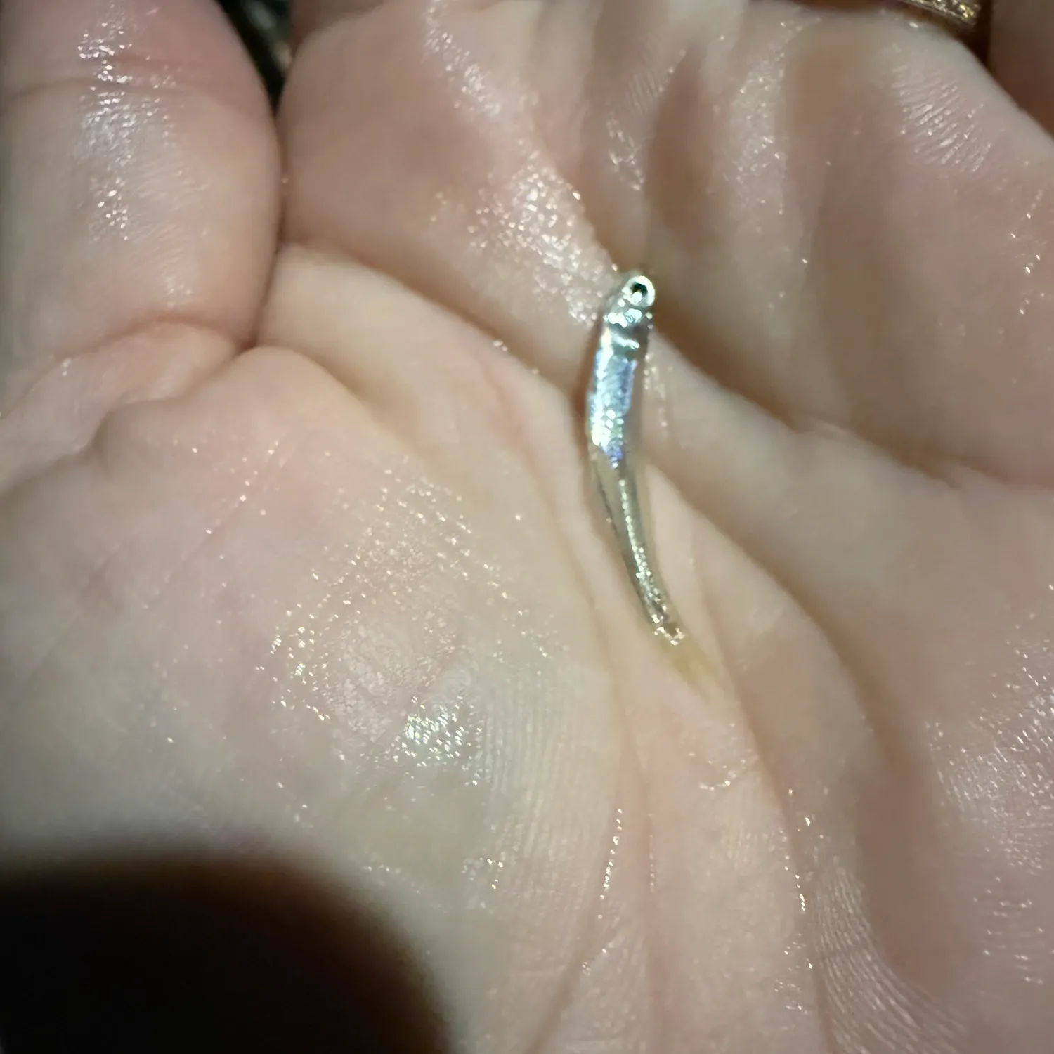 The most recent Inland silverside catches on Fishbrain