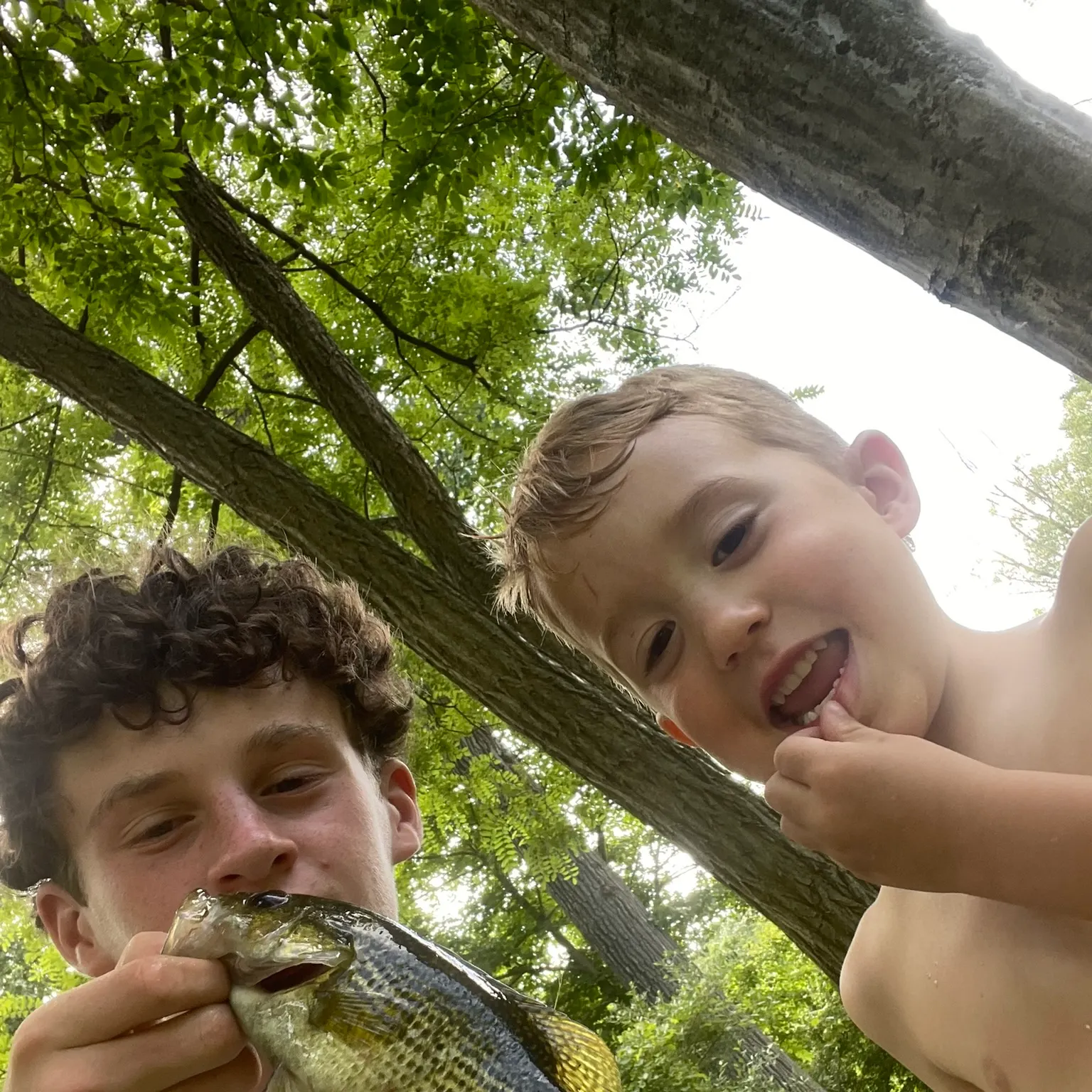 The most recent Rock bass catches on Fishbrain