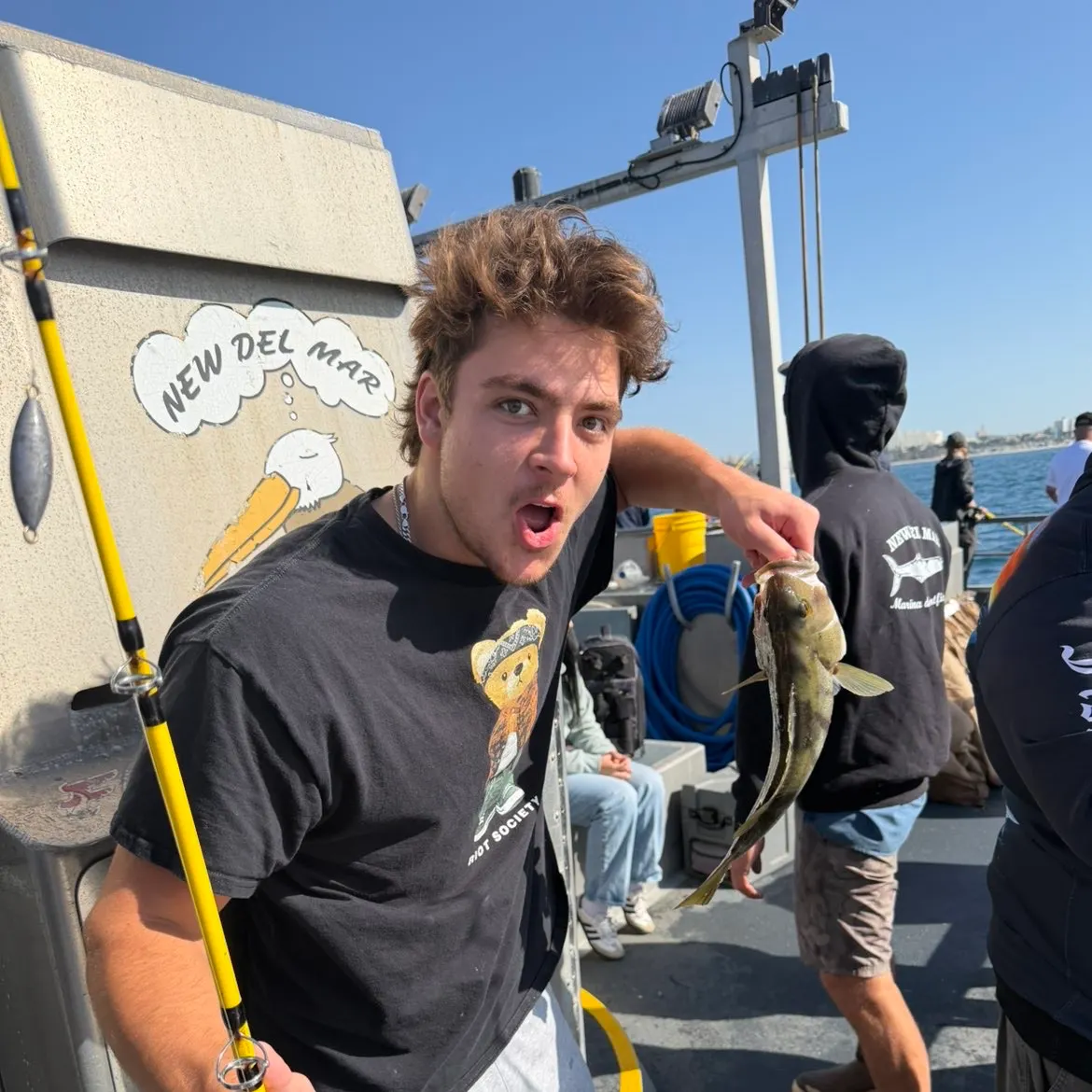 The most recent Treefish catches on Fishbrain