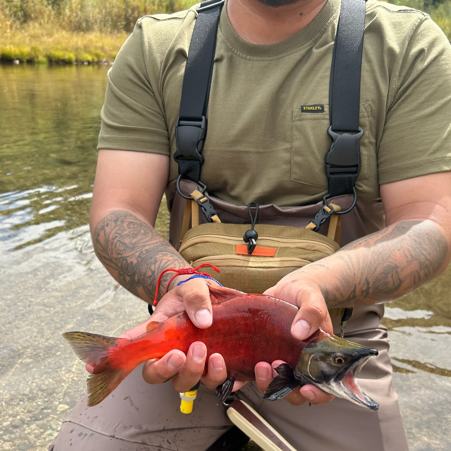 Kokanee salmon caught on Fishbrain