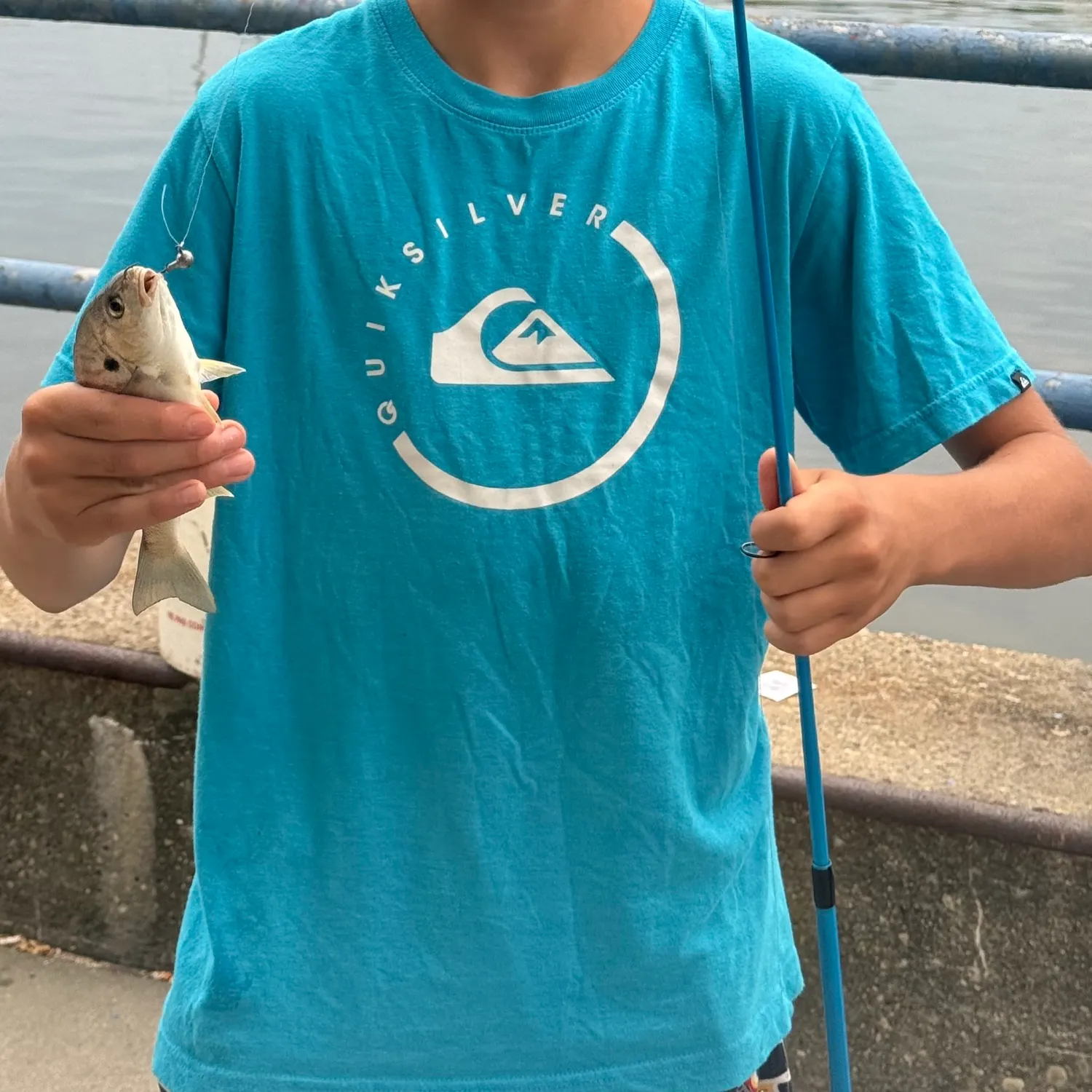 Spot croaker caught on Fishbrain