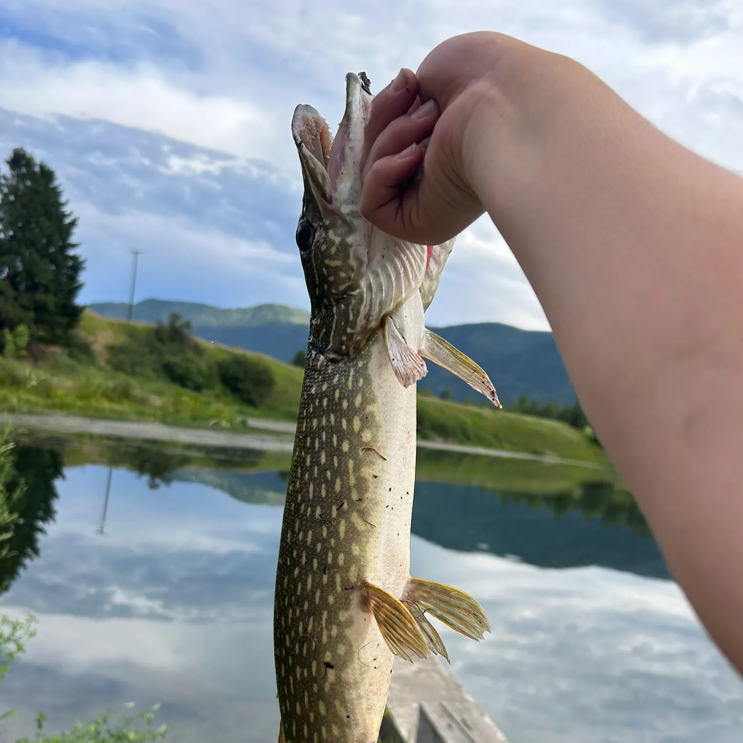 catch