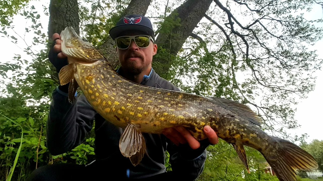 Post image from JPsson