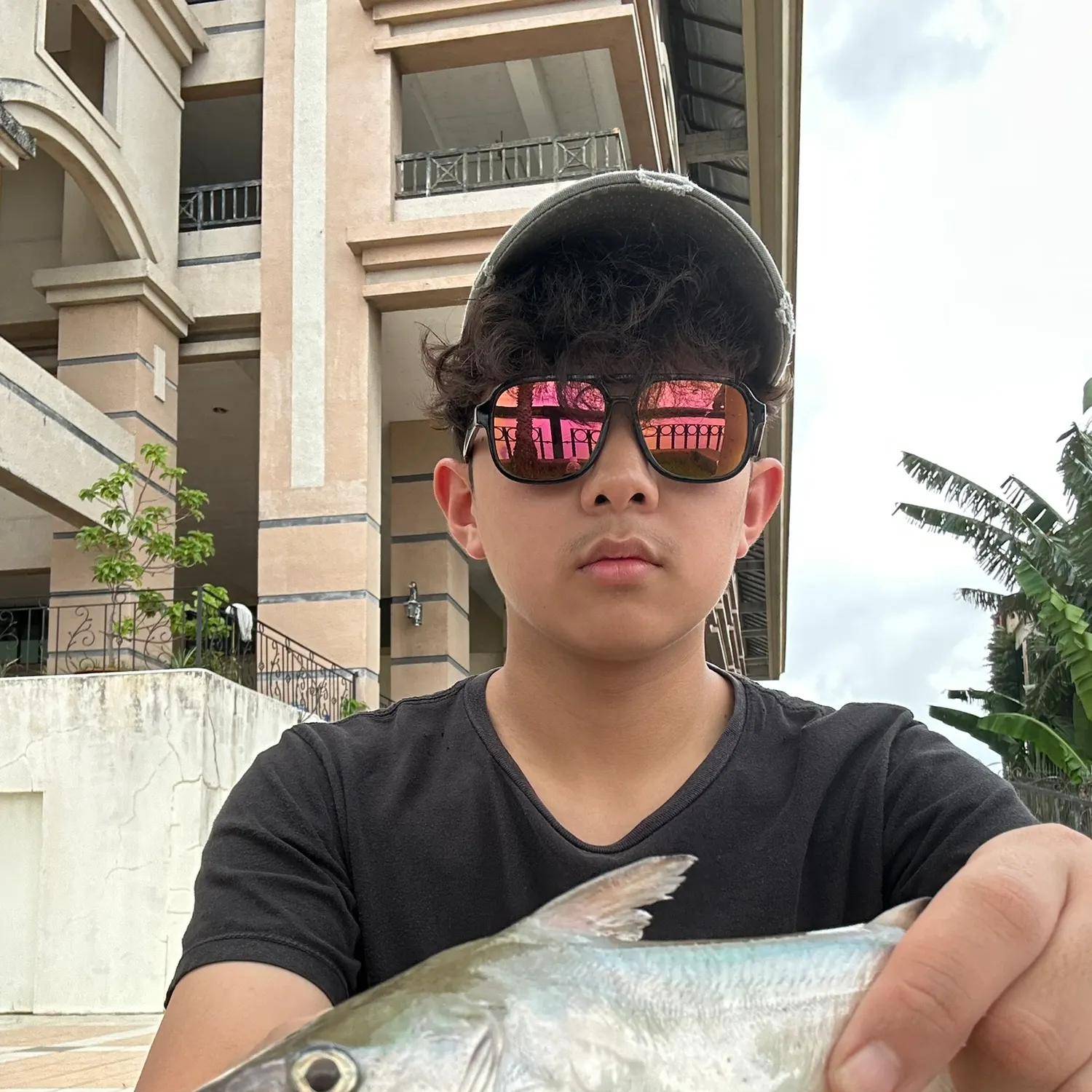 The most recent Asian redtail catfish catches on Fishbrain