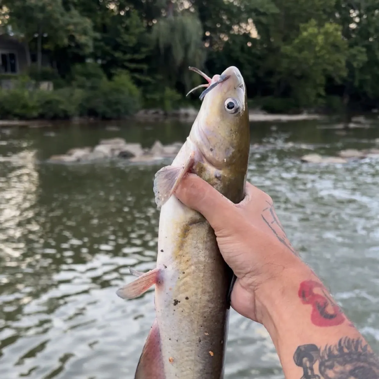 catch