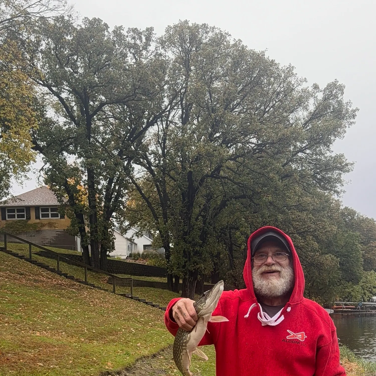 Northern pike caught on Fishbrain