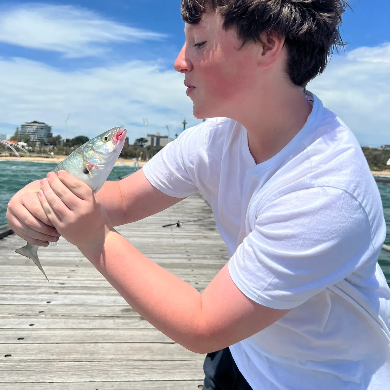 The most recent Eastern Australian salmon catches on Fishbrain