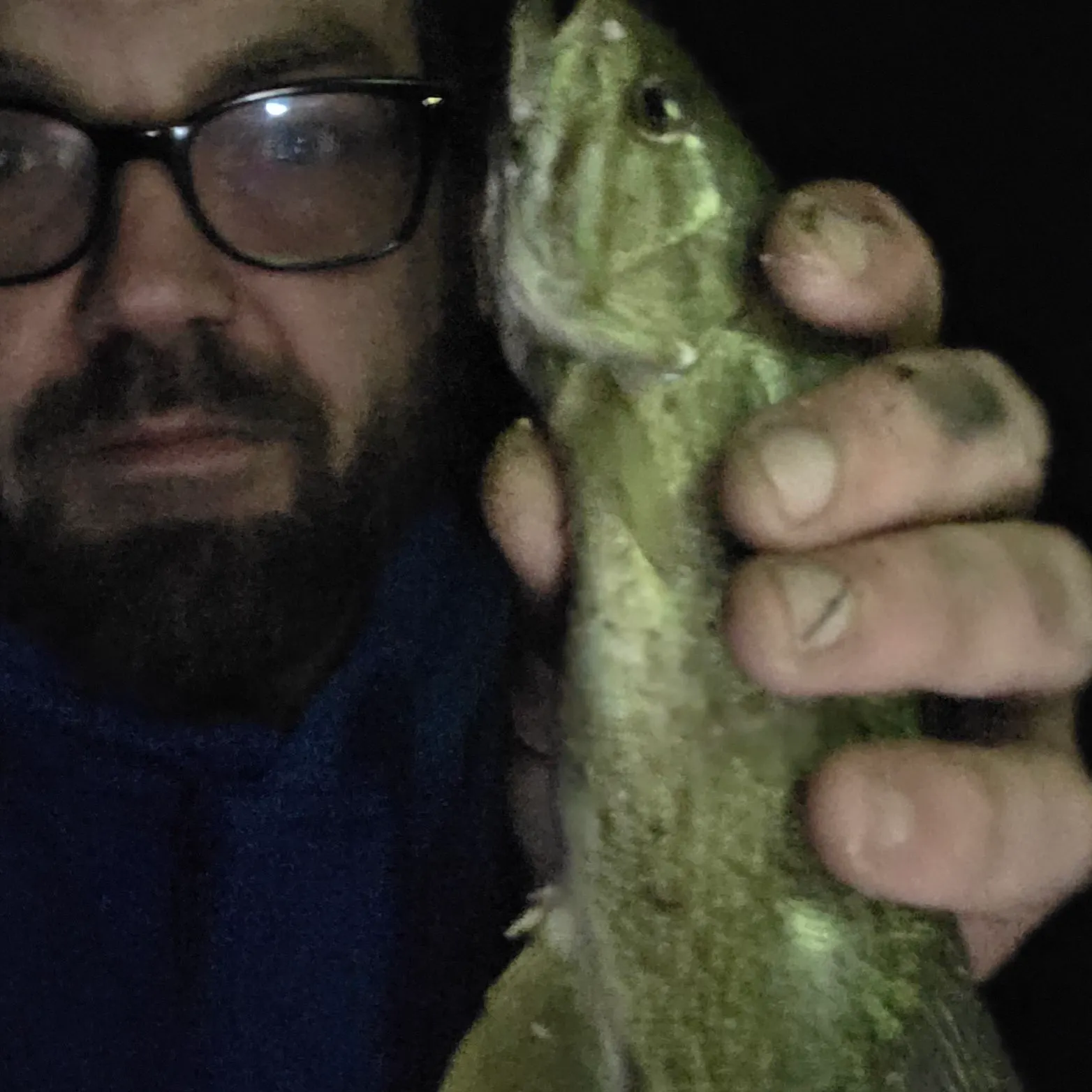 Fish caught on Fishbrain
