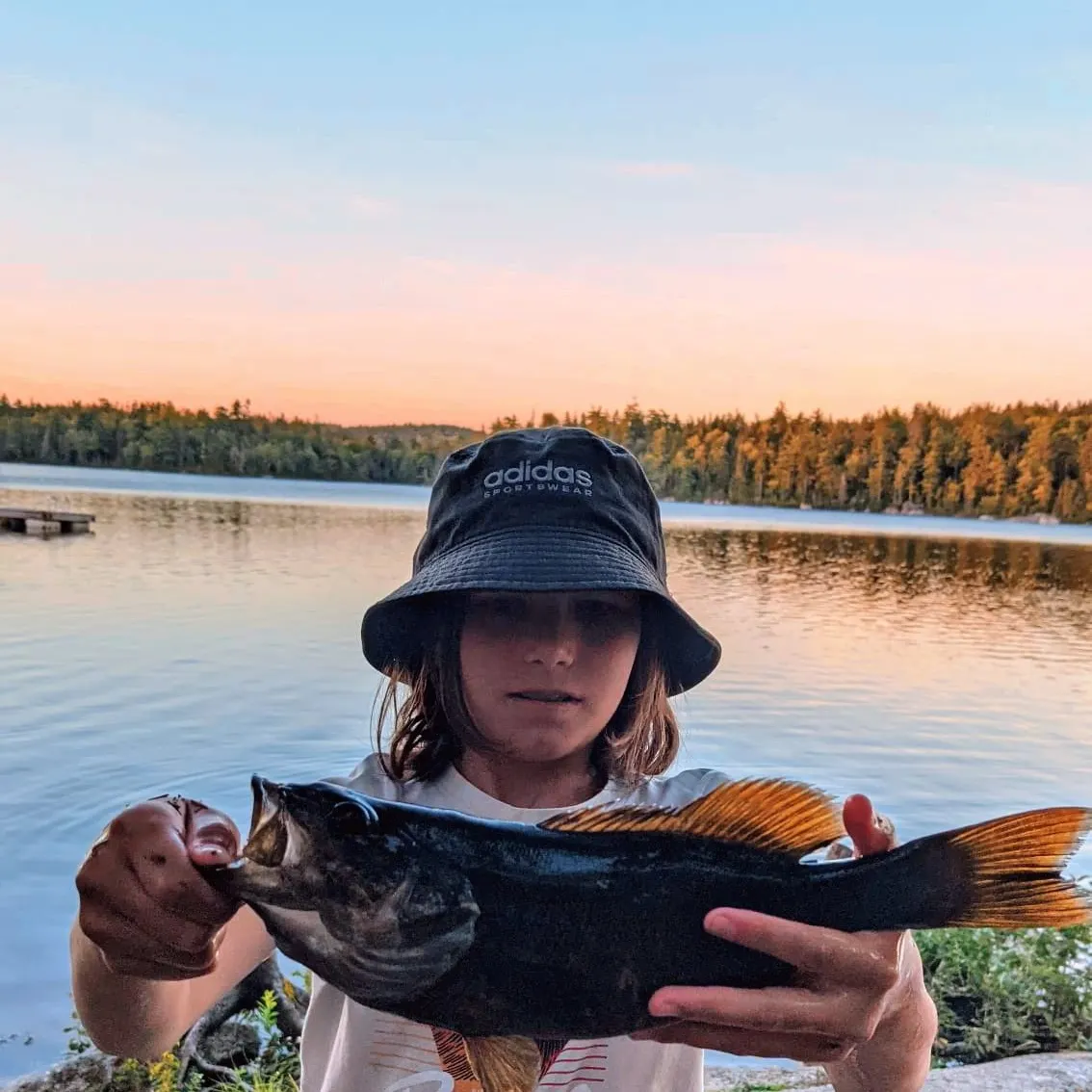 Smallmouth bass caught on Fishbrain
