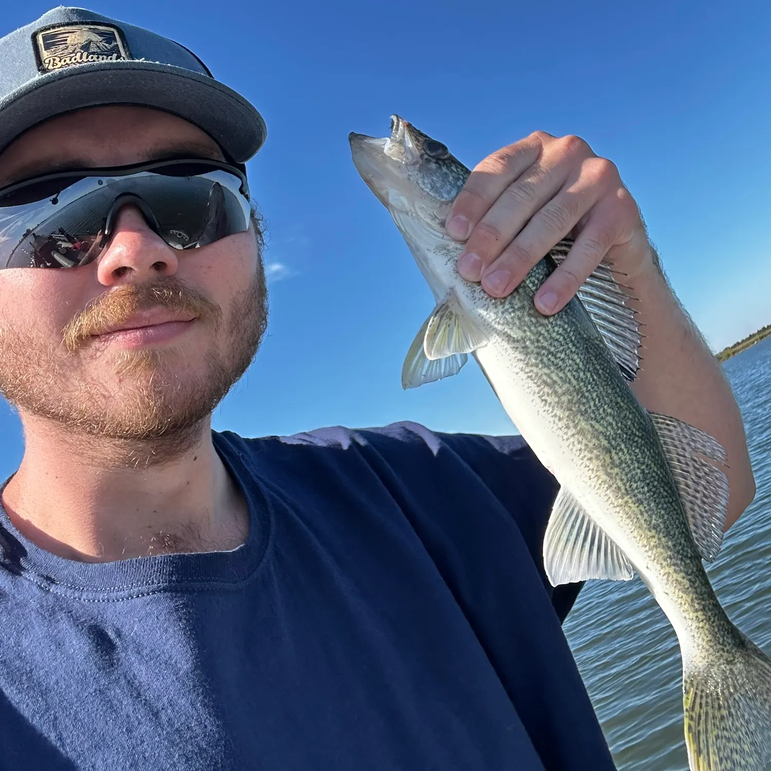 Walleye caught on Fishbrain