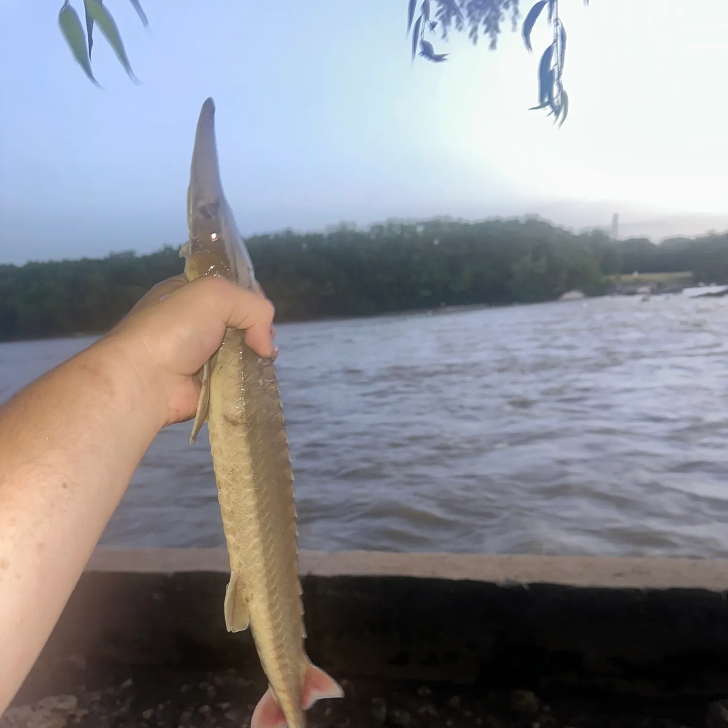 catch