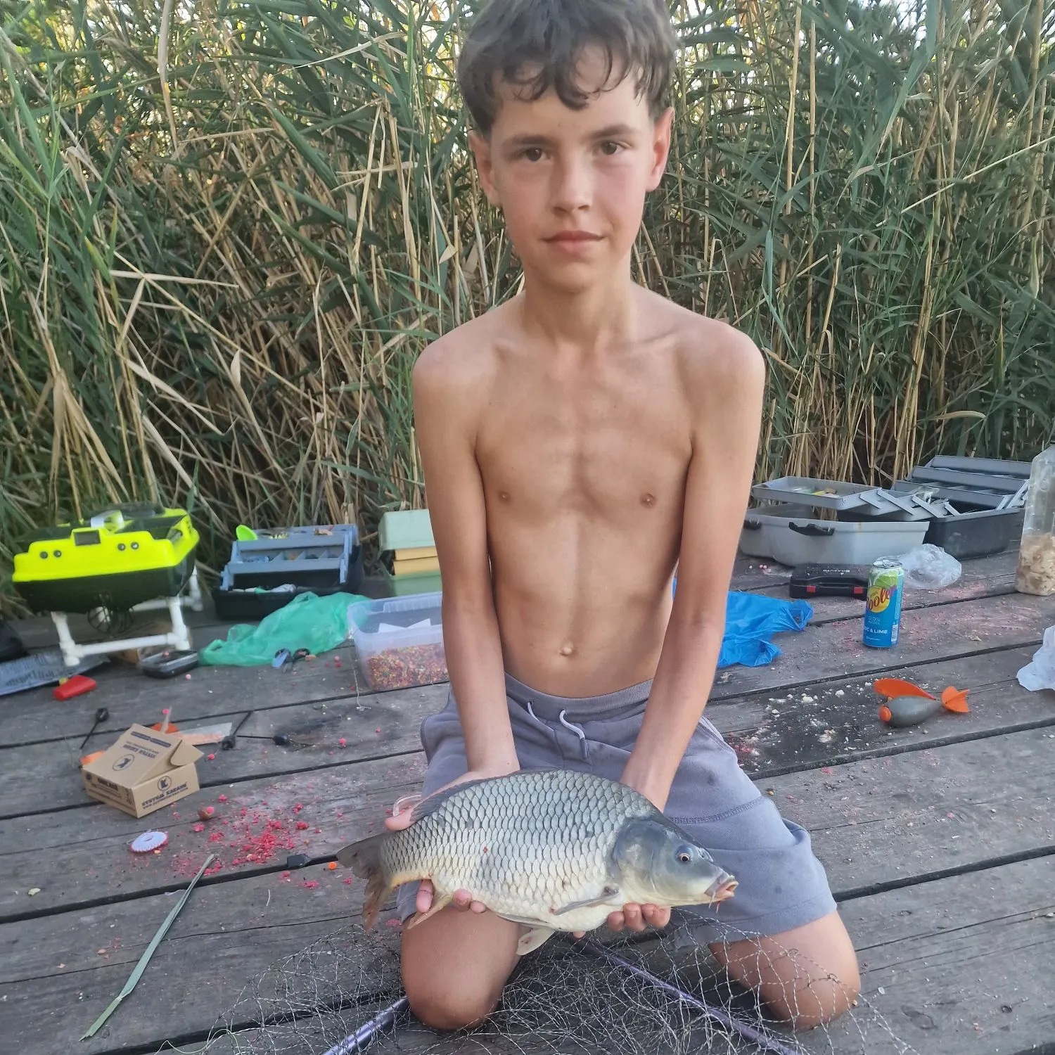 Common carp caught on Fishbrain