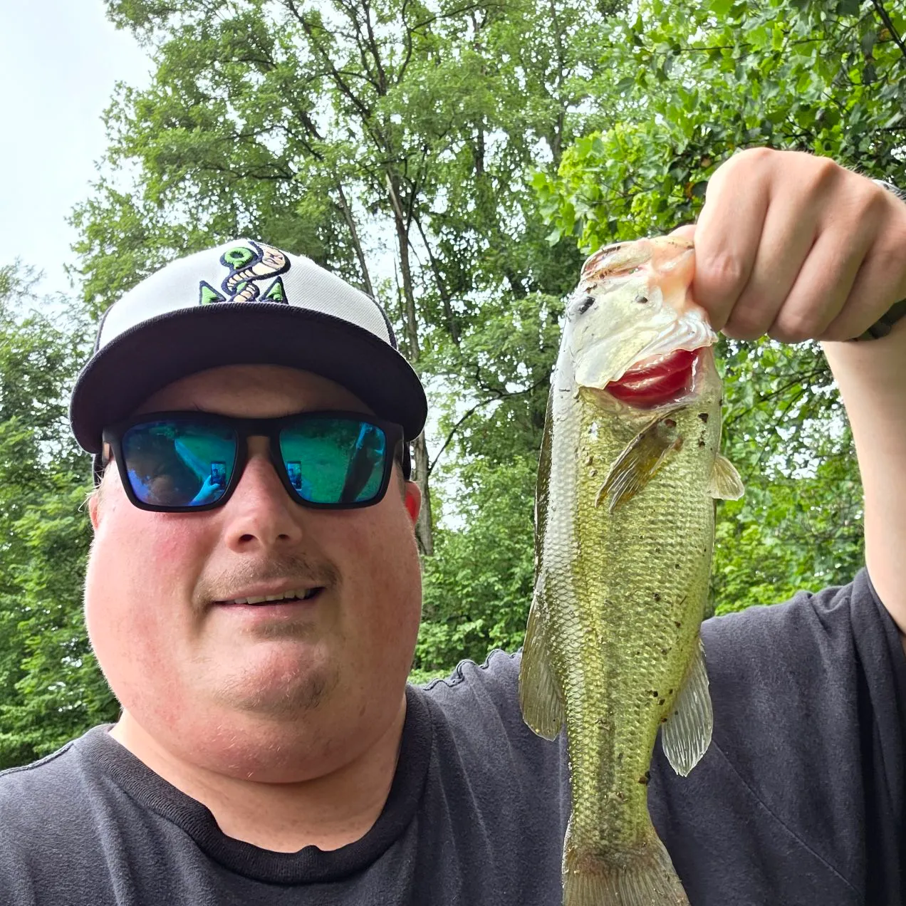 Largemouth bass caught on Fishbrain