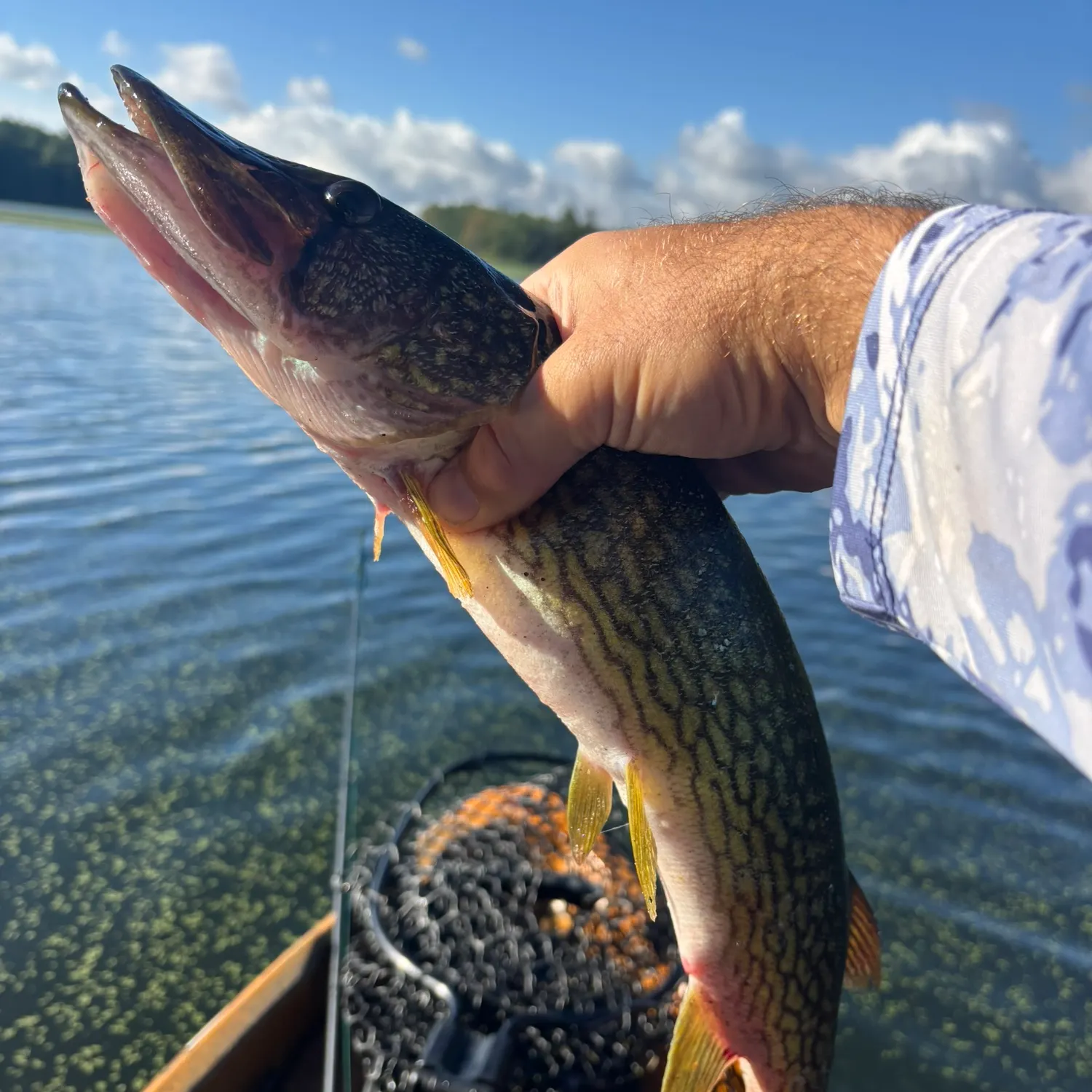 catch