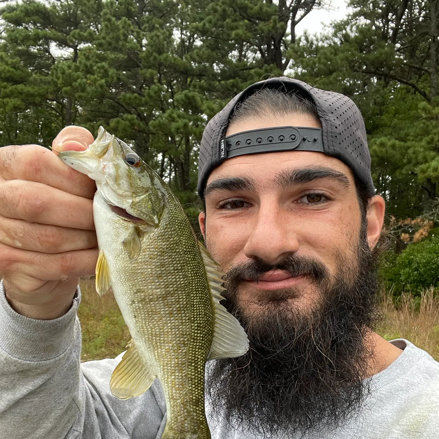 Smallmouth bass caught on Fishbrain