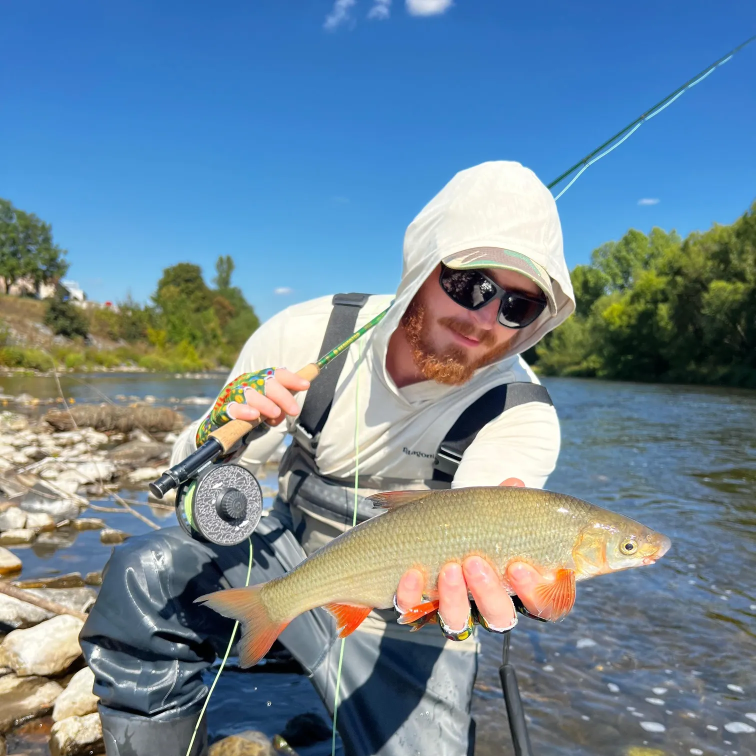 The most recent Vimba bream catches on Fishbrain