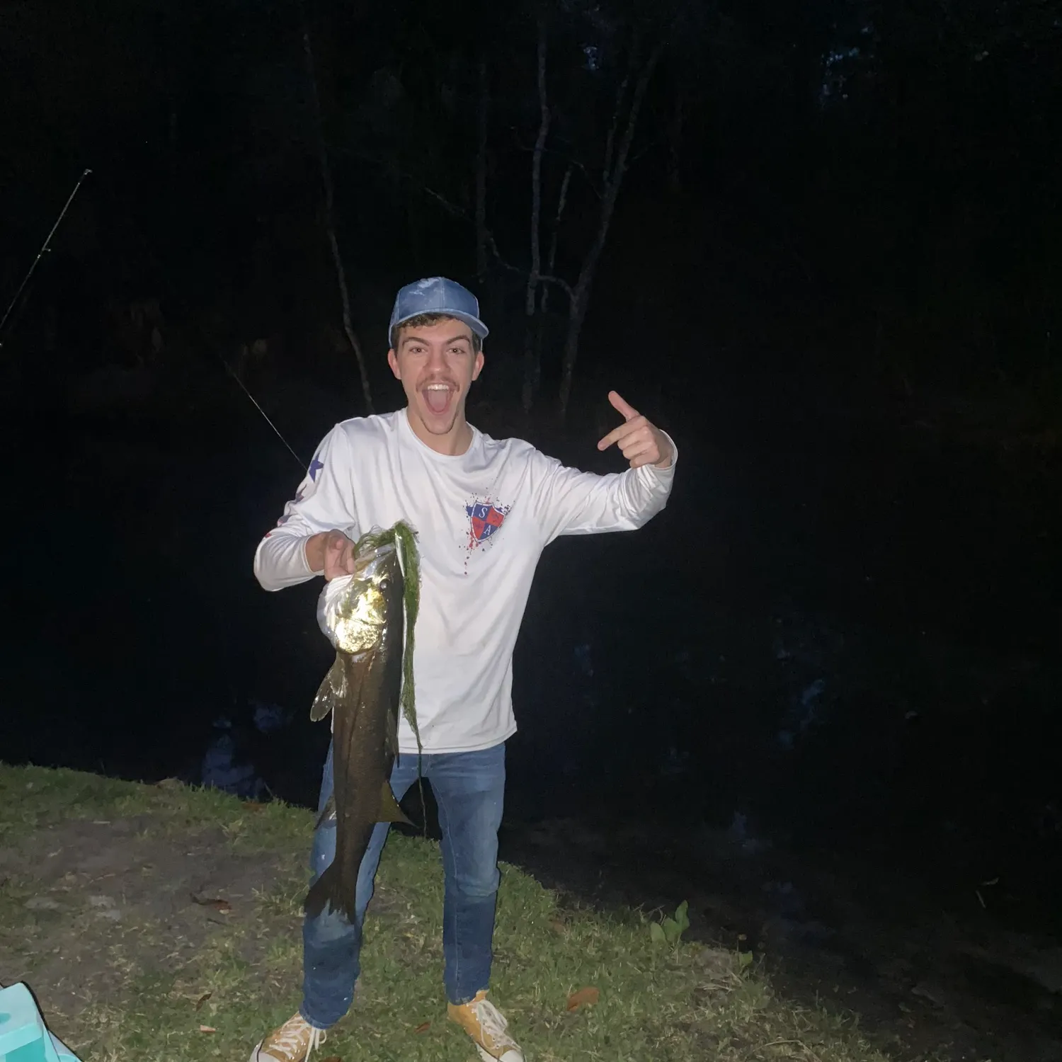 The most recent Common snook catches on Fishbrain