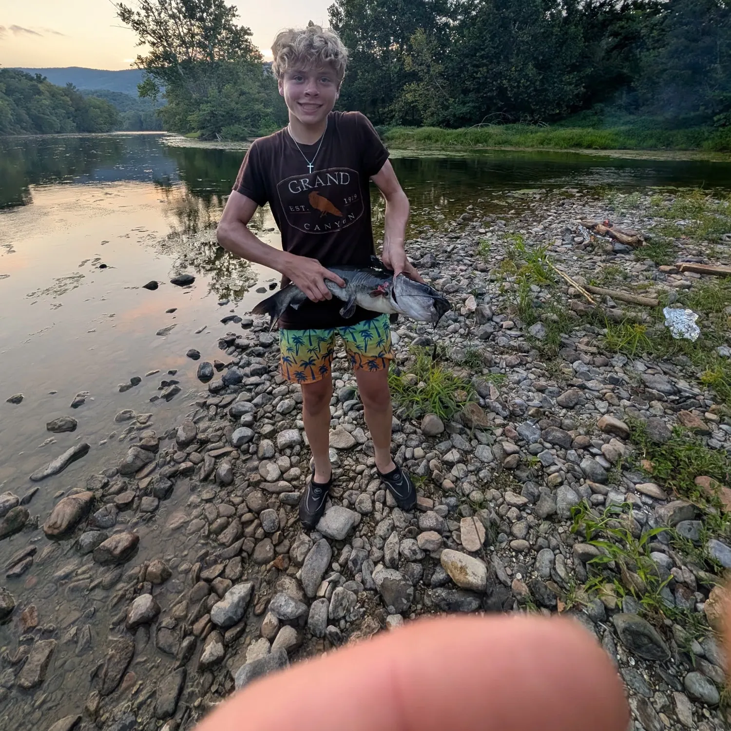 Channel catfish caught on Fishbrain