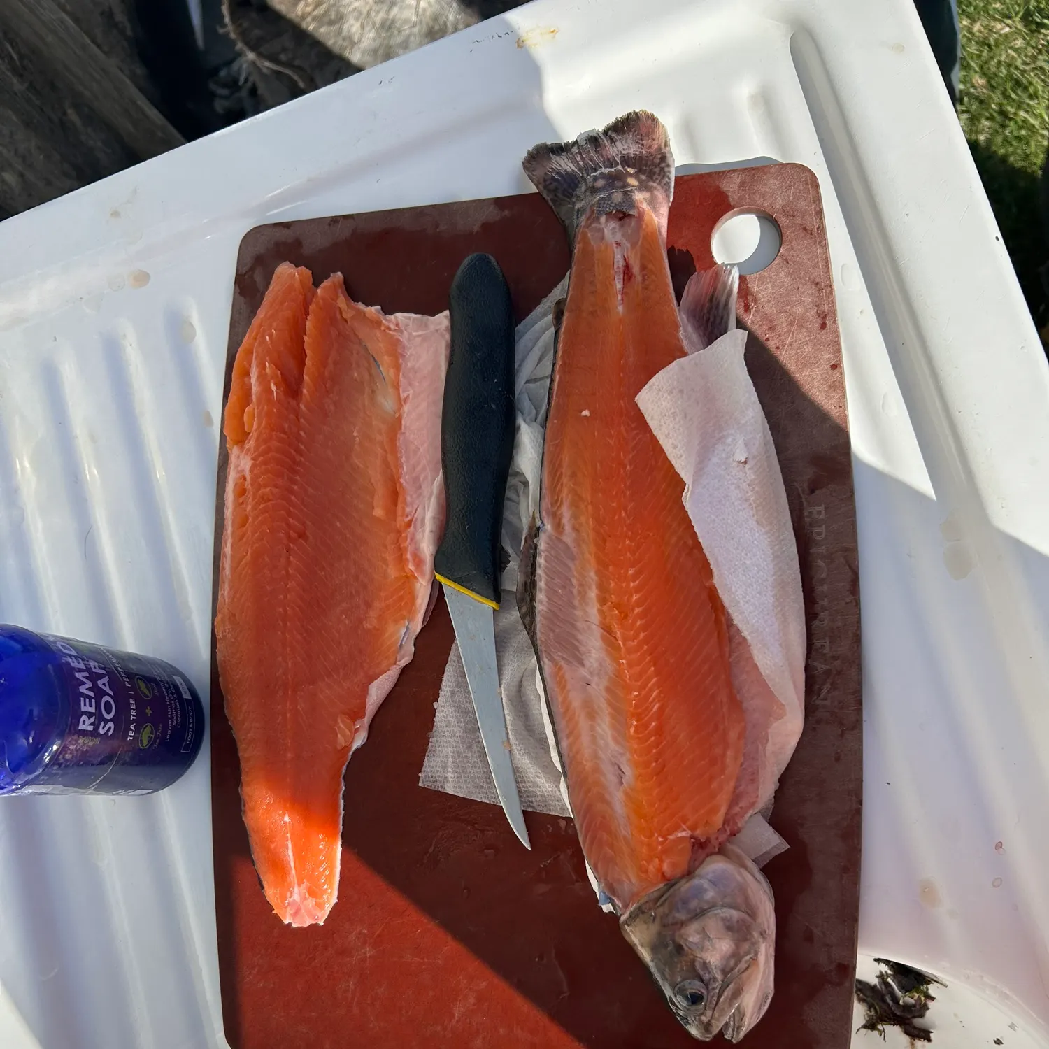 Brook trout caught on Fishbrain