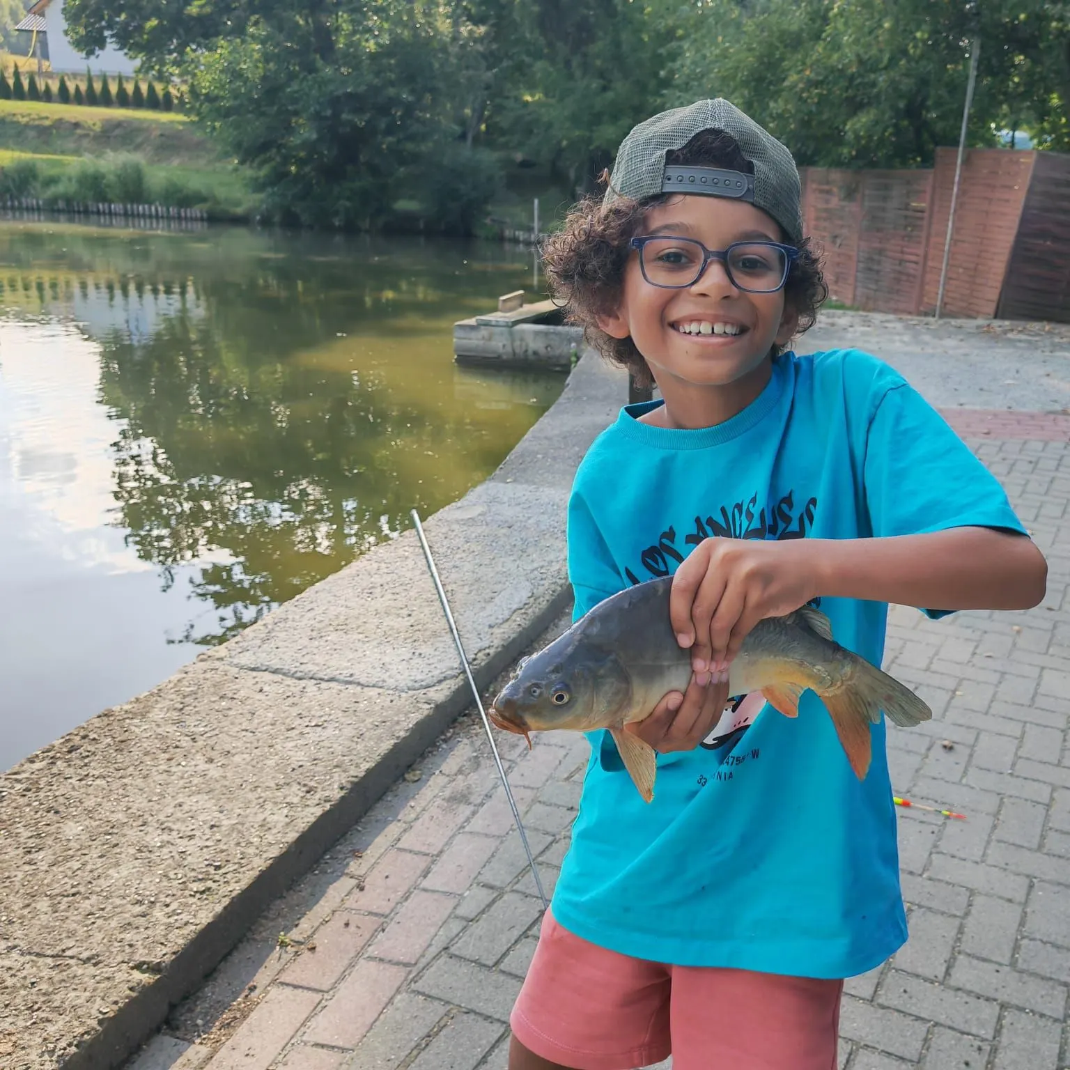 Common carp caught on Fishbrain