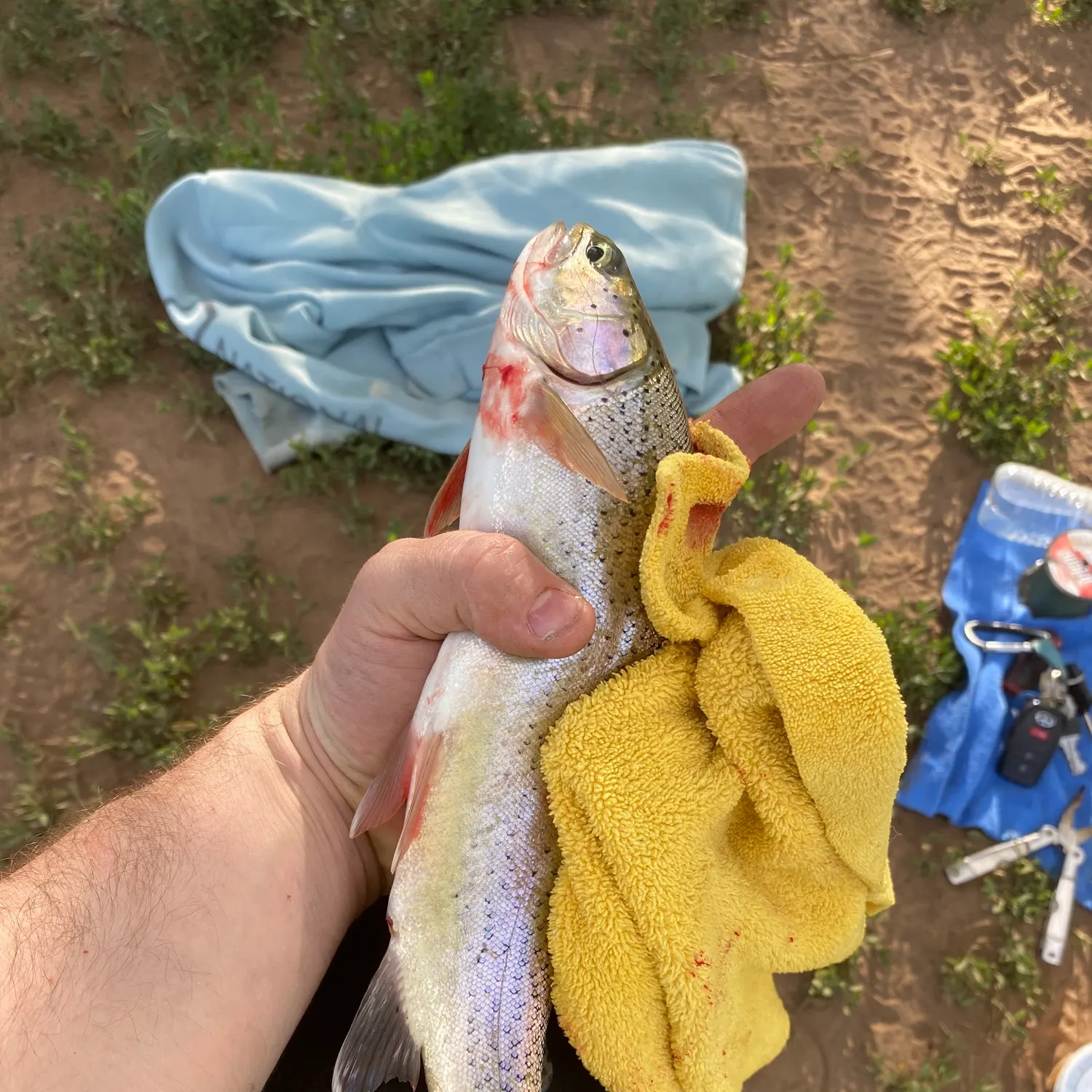 catch