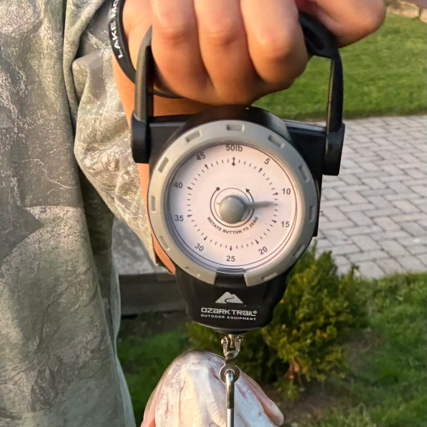 Striped bass caught on Fishbrain