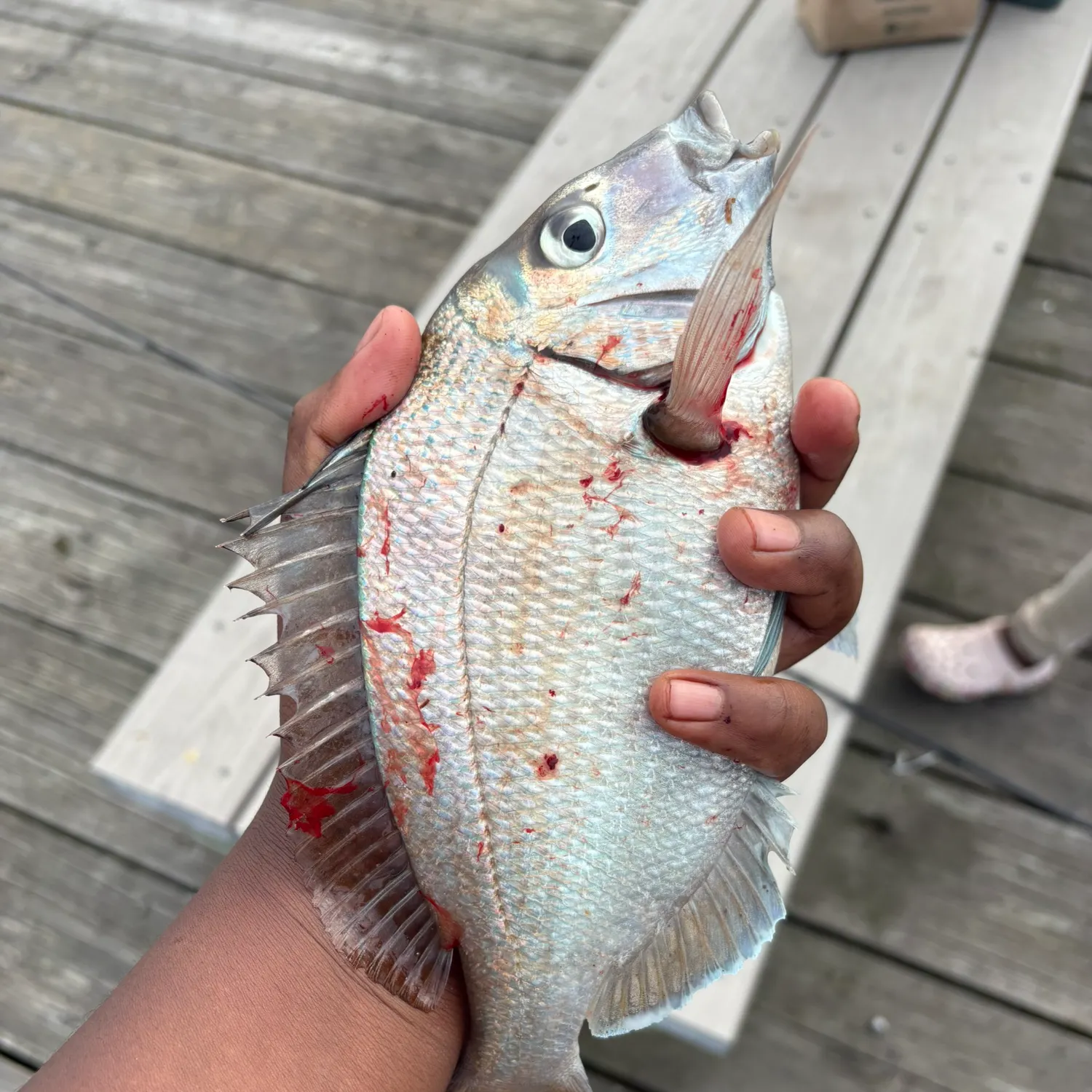catch