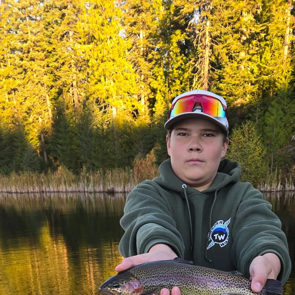 Rainbow trout caught on Fishbrain