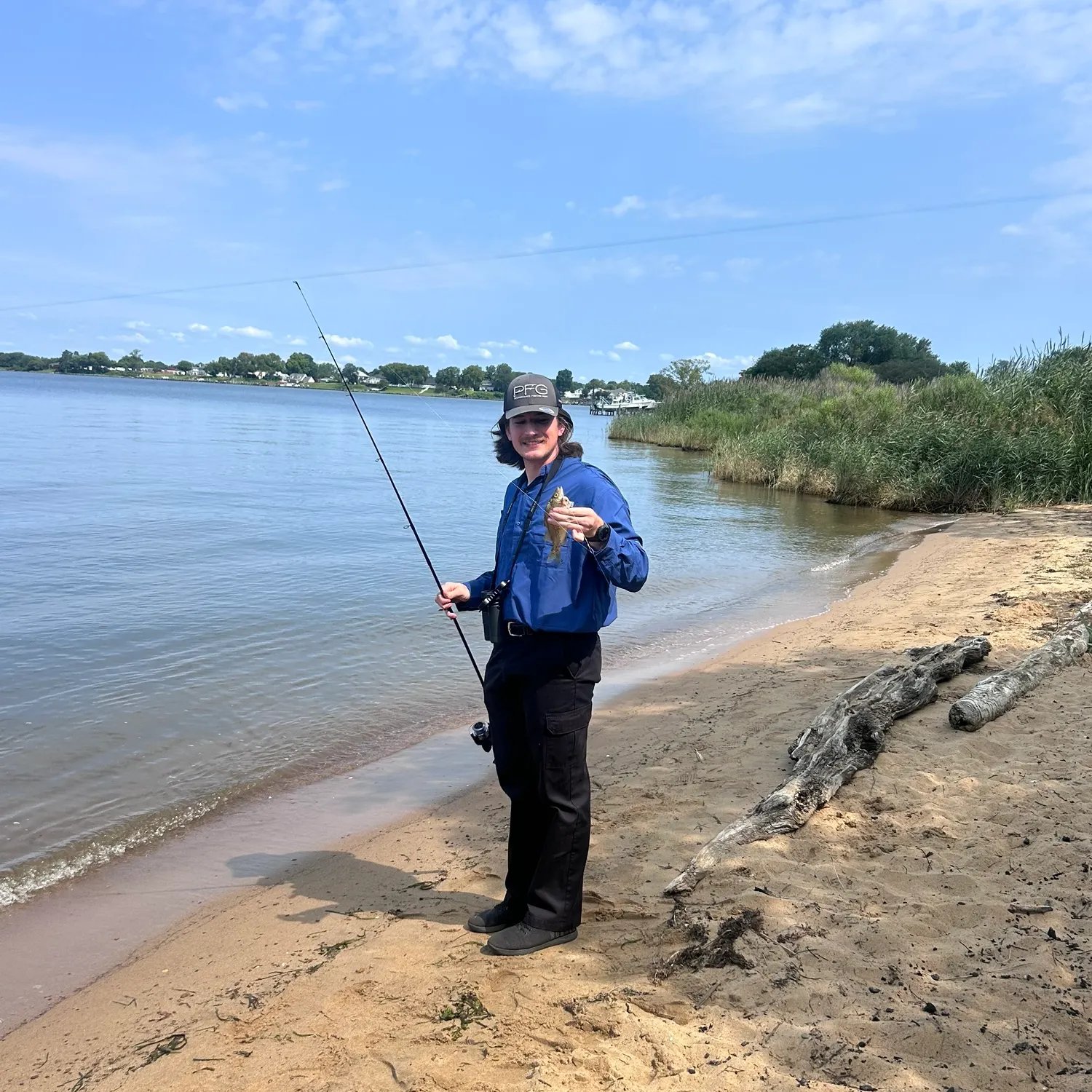 White perch caught on Fishbrain