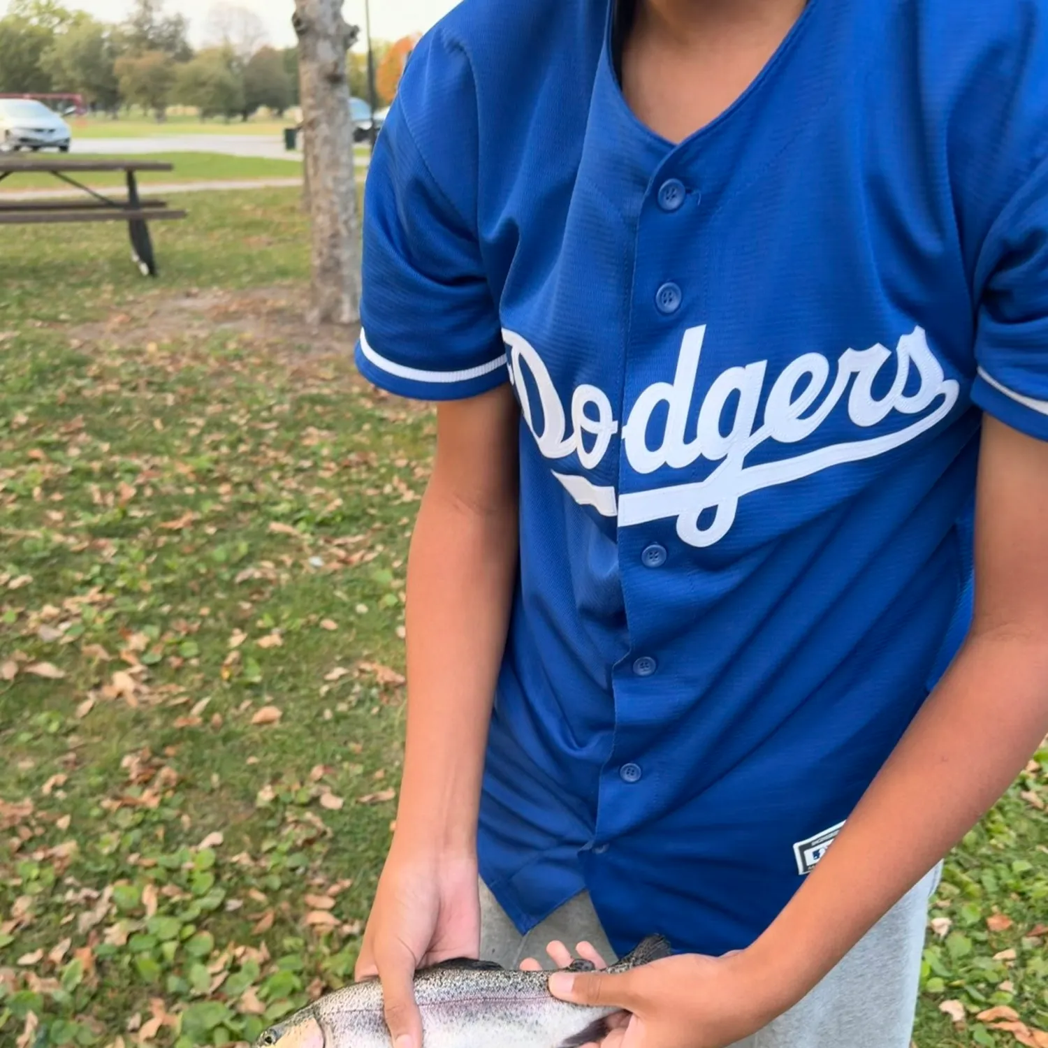 Rainbow trout caught on Fishbrain